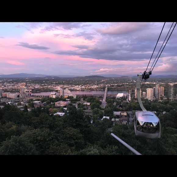 Meet your Posher, Noa - Picture 1 of 1